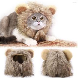 Cat Costumes Funny Cute Pet Costume Lion Mane Wig Cap For Small Dog Halloween Christmas Clothes Fancy Dress With Ears Puppy Apparel