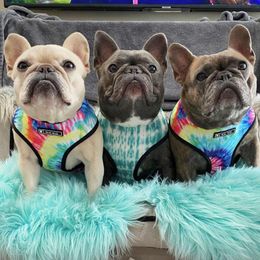 Dog Collars 2022INS Cat Harness Adjustable Vest With Walking Lead Leash For Puppy Dogs Collar Tie Dye Mesh All Size Pet