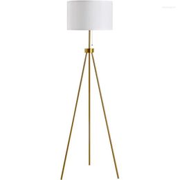 Floor Lamps Modern LED Lamp Nordic Gold Tripod Lights Bedroom Bedside Wire Switch For Living Room Foyer Sofa Vertical