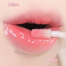 Lip Gloss Transparent Oil Glass Fragrance Non-sticky Moisturising Tint Waterproof Long Lasting Care Serum Primer