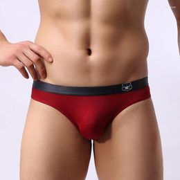 Underpants Brand Brave Person Men Gay Briefs Sexy Underwear Low Waist Nylon Bikini Cuecas Masculinas