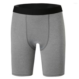 Running Sets Gym Sports Fitness Pants Men's Basketball Shorts Workout Tights Training Bottoming Mens Compression Leggings
