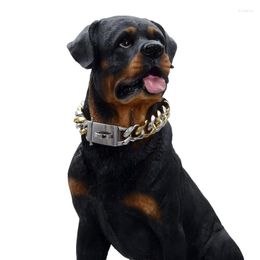 Dog Collars 19mm Stainless Steel Pet Chain Titanium Six Sided Grinding Collar Large Gold Walking Ring