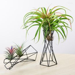 Vases Metal Geometric Flower Stand Indoor Creative Home Furnishing Green Plants Desktop Decorative Plant Accessories