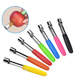 Fruit Vegetable Tools Stainless steel apple core extractor fruit remover kitchen gadget LK414