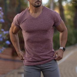 Men's Tank Tops Men Sporty Knitted Vest Stripe Slim V Neck Solid Colour Short Sleeve Sports