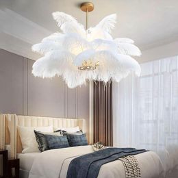 Pendant Lamps LED Lamp Bedroom Living Room Restaurant Lighting Deco Hanging Nordic LD Lights Natural Ostrich Feather
