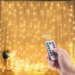 Strings 3mx3m 300 LEDs USB String Lights Remote Control Fairy Light Garland Curtain Lamp Home Party Christmas Wedding Decoration