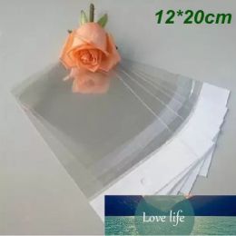 Clear Self Adhesive Seal Plastic Bag OPP Poly Bag Retail Packaging Bag With Hang Hole