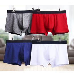 Underpants 4pcs Boxer Shorts Mens Panties Cotton For Man Underwear Sexy Set Big Size Soft Breathable Boxers Men