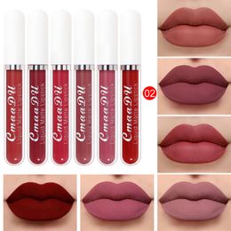 NEW IN Colors/Set Fashion Lip Gloss Sets Natural Moisturize Waterproof Velvet Liquid Lipstick Exquisite Lip Makeup TSLM1