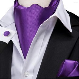 Bow Ties Men Silk Ascot Solid Purple Cravat Formal Pocket Square Cufflinks Set Gift For Father/Husband Hi-Tie AS-1001 Wholesale