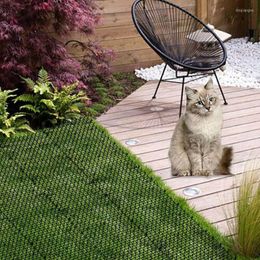 Cat Carriers Mat Spike Pest Deterrent Garden Repellent Animal Scarer Prevent Cats Dogs From Destroying Flower Pot Decoration