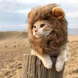 Cat Costumes Cute Lion Mane Wigs Pet Small Dog Costume Wig Hat Funny Fancy Ears Cosplay Toy Supplies