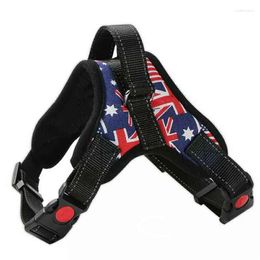 Dog Collars Pet Harness Collar Adjustable Harnessees And Leash Set Outdoor Training Chihuahua Designer Products