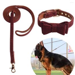 Dog Apparel 3Pcs/Set Cat Collar Fine Workmanship Kitten Kit Puppy Walking Training Control Belt Set