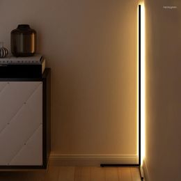 Floor Lamps Modern Minimalism Led Lamp Bedroom Corner Black Liner Light Deco Indoor Lighting Luminarias Fixtures