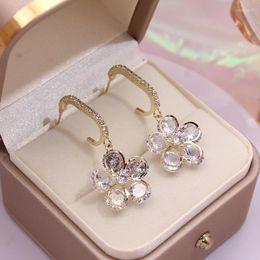 Stud Earrings Sight Fashion Brand Jewellery Crystal Flower For Women Elegant Long