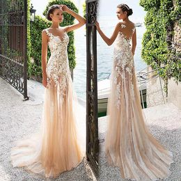 Marvelous Tulle Lace Bateau Neckline See-through Sheath Prom Dress With Lace Appliques Champagne Evening Dress vestido de formatura