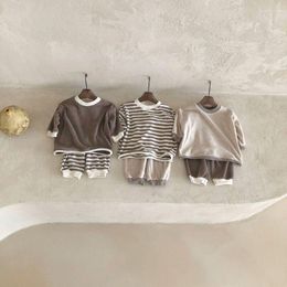 Clothing Sets 0-24M Born Baby Long Sleeve Sweatershirts Spring Fall Boys Girls Soft Warm Solid/stripe Tops Pants 2Pcs Outfit Clothes