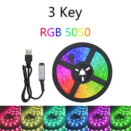 LED Strip Light Fita RGB 5050 Luces String Flexible Lamp Tape DC5V Bluetooth Infrared Control TV Backlight Home Party Decoration