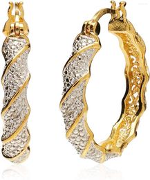 Hoop Earrings Feecolor 1 Pair Plated Bronze Accent Twisted