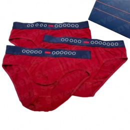 Cotton Boxers Briefs Underpants For Men Sexy Classic Man Boxer Underwear Designer Letter Male Underpant 3pcs With Box