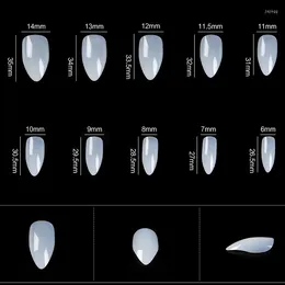 False Nails 500pcs Nail Tips Sculpted Eagle Hook Full Cover Acrylic Clear Natural White 10 Sizes For Salon Design