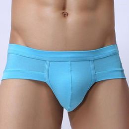 Underpants Men's Sexy Lingerie Thongs Underwear Soft Modal U-front Pouch Briefs Nderwear Men Triangle