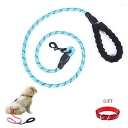 Dog Collars 1.5M Pet Leash Reflective Strong With Comfortable Padded Handle Heavy Duty Training Durable Nylon Rope Leashes