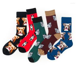 Men's Socks Fashion Unisex Winter Knitted Long Crew Funny Pet Dog Printed Hip-Hop Trendy Cotton Hosiery Skateboard