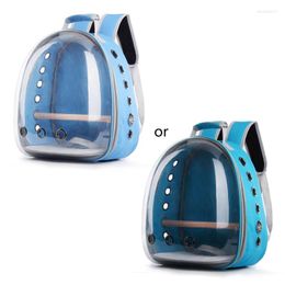 School Bags CPDD Pet Parrot Carrier Bird Travel Bag Space Transparent Backpack Breathable 360° Sightseeing