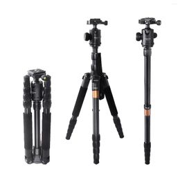 Tripods FOSOTO FT-666 Monopod Lightweight Camera Tripod Stand Portable With Ball Head Professional Travel For Phone DSLR