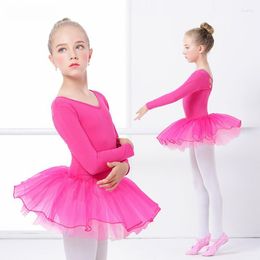 Stage Wear Sweet Rose Ballet Leotard For Kids V-neck Tutu Dance Dress Girls Yoga Artistic Gymnastics Use Bailarina