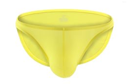 Underpants Sexy Men's Brief Breathable Ultra Thin Smooth Ice-Silk Summer U Convex Underwear Ropa Interior Hombre