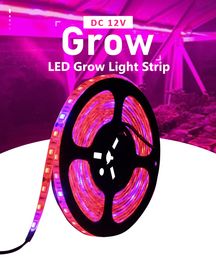Full Spectrum Led Grow Lights Phytolamp For Seedlings Red Blue 5M/roll DC 12V Phytotape For Plants Waterproof 5050 Chip 5-20Meter