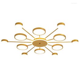 Ceiling Lights Nordic Living Room Bedroom Led Lamp Modern Simple Small House Light Luxury Golden Circle Lamps Front Porch Decoration