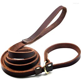 Dog Collars Genuine Leather Leash Adjustable Collar Integrated P Rope For A Training Medium Large Dogs Pet Items