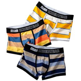 Sous-pants Boxer Men Marque Luxury Cotton Youth Sports Underwear Homme Personnalité Men's Pantes Stripes Mens Boxers For Intimate 221031