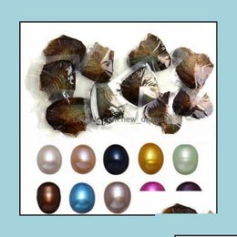 Pearl Loose Beads Biżuteria nowe ostrygi z barwionymi naturalnymi perłami wewnątrz imprezy w Bk Open At Home Packing Opakowanie Epacket Drop de ots0yt