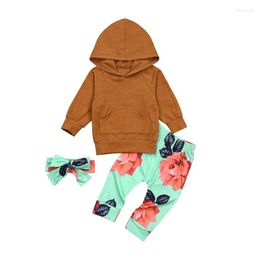 Clothing Sets 0-24M Born Baby Boy Girl Long Sleeve Pocket Hooded Sweatshirt Tops Floral Pant Headband 3PCS Outfits Autumn Clothes Set