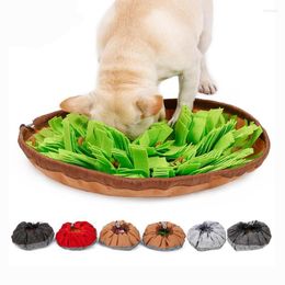 Dog Apparel Design Food Hiding Slow Feeding Pet Snuffle Training Mat Bowl For Dogs Sniff Lick Accessories