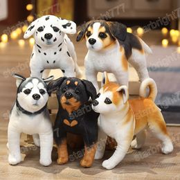 25CM Simulation Cute Dog Plush Toys Lovely Husky Rottweiler Animal Dog Dolls Stuffed Soft Toy for Kids Boys Xmas Gift