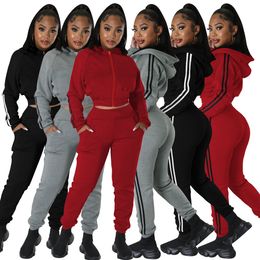 Hoodie and Sweatpants Two Piece Pants Women Casual Tracksuits Zipper Sweatshirt and Bottoms Sets Free Ship