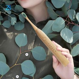 Toothbrush ZS Bamboo Wood Material Electric Natural Environmental Friendly Reuse Intelligent Chargeable Teeth Clean Brushes 221101