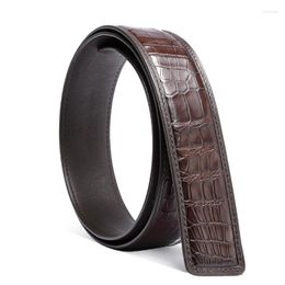 Belts Authentic Real True Crocodile Belly Skin Men's Waist Strap For Pin Buckle Genuine Exotic Alligator Leather Male