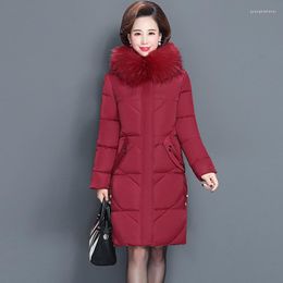 Women's Trench Coats 2022 Plus Size 6XL Winter Fur Collar Jacket Female Down Cotton Padded Clothes Women Casual Slim Parka Coat Overcoats