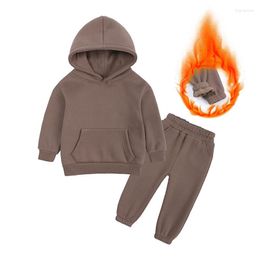 Clothing Sets Autumn Winter Children's Girls Baby Boys Fashion Thick Hoodies Pants 2Pcs/Sets Kids Sportswear Toddler Tracksuits