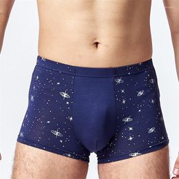 Underpants Men's Boxer Briefs Mid Waist Comfortable Modal Plus Size Pants