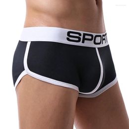 Underpants Fashion Men Underwear Boxer Cotton Fitness Sports Shorts Masculina Mens U Bulge Pouch Panties Comfortable Male